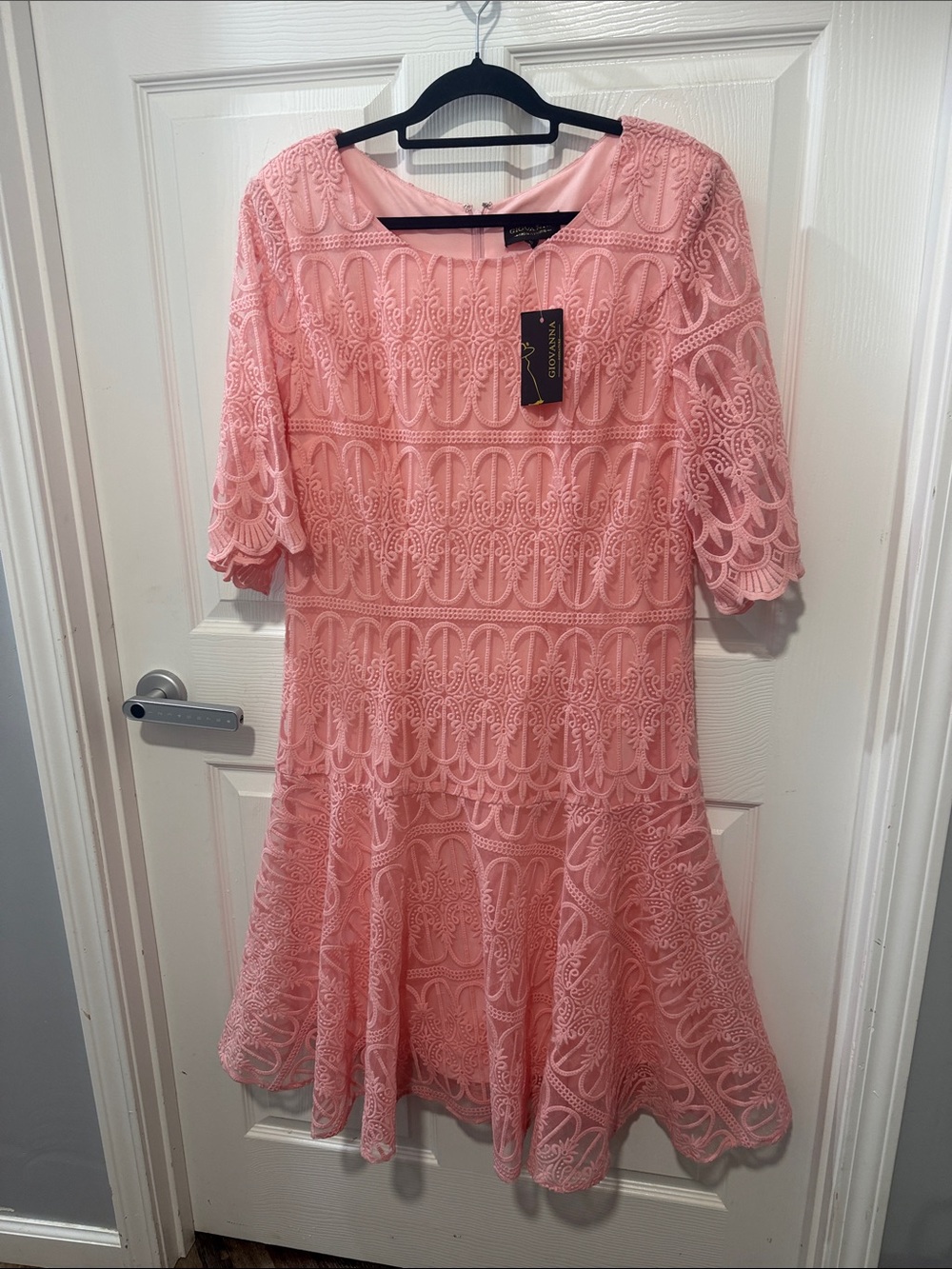 Pink Lace Fit-and-Flare Dress